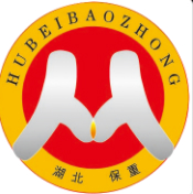 湖北保重保险代理有限公司